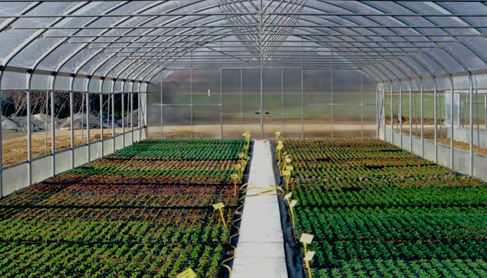 Técnico Auxiliar En Viveros Y Huertas Urbanas Ecológicas